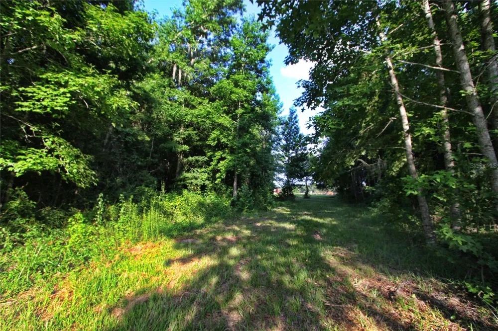 TBD CR 526 Sumterville, FL 33585