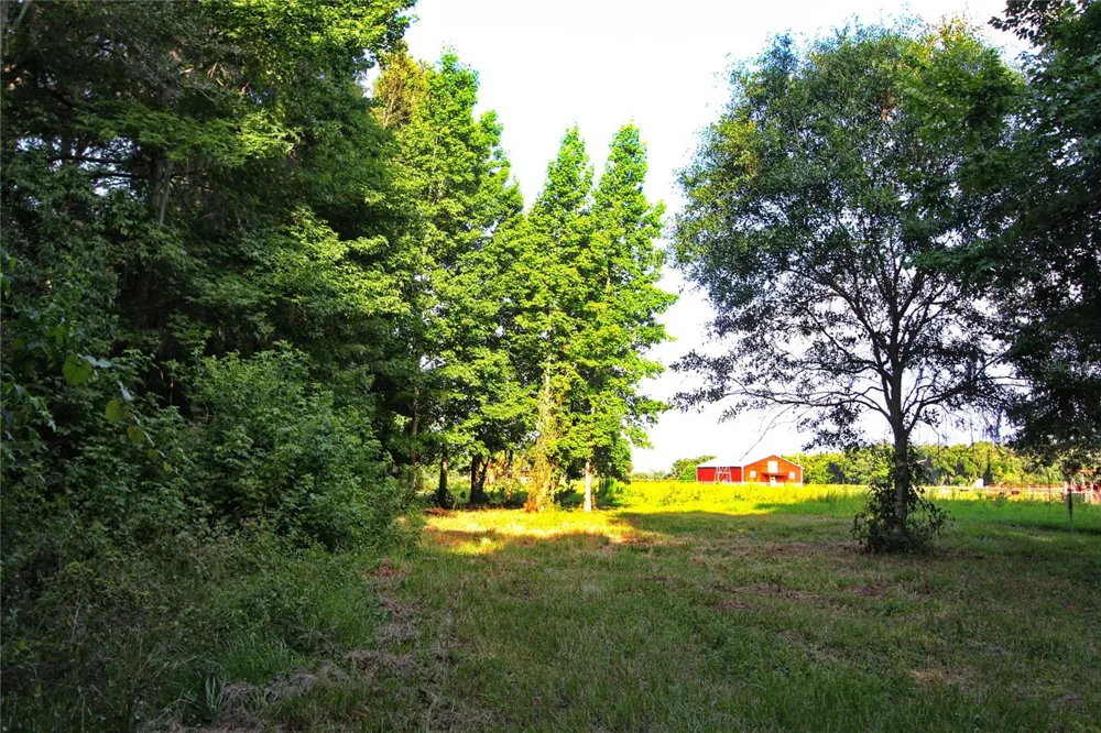 TBD CR 526 Sumterville, FL 33585