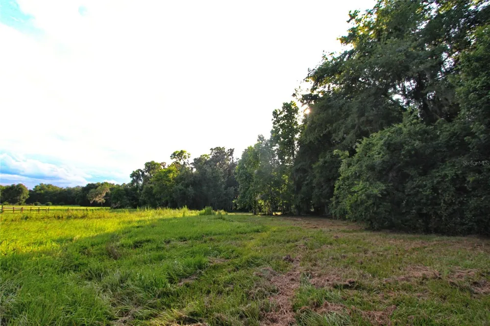 TBD CR 526 Sumterville, FL 33585