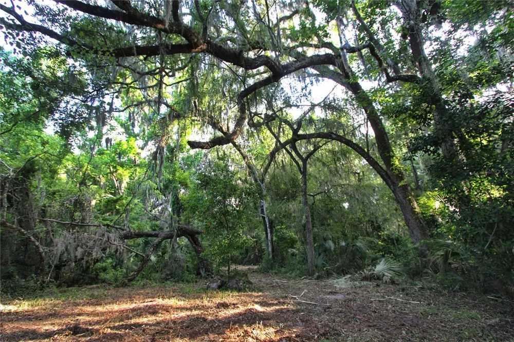 TBD CR 526 Sumterville, FL 33585