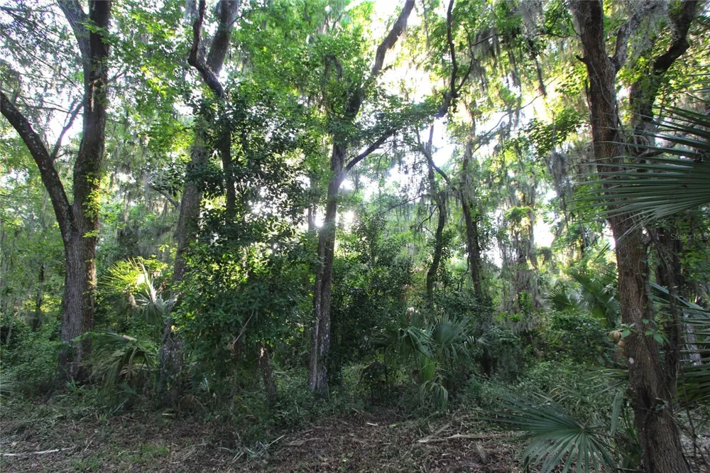 TBD CR 526 Sumterville, FL 33585