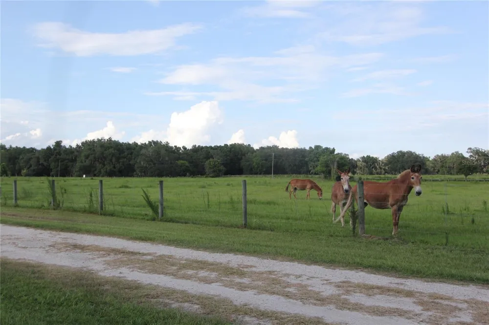 TBD CR 526 Sumterville, FL 33585