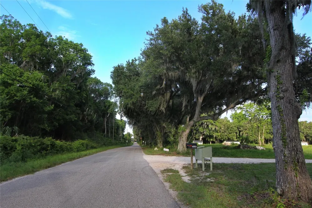TBD CR 526 Sumterville, FL 33585