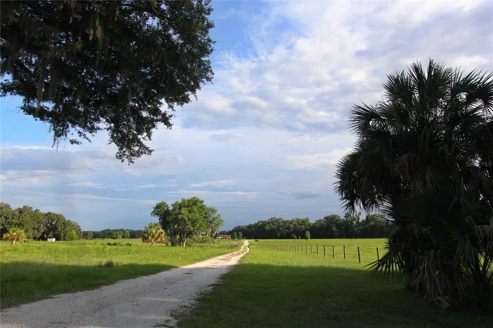 TBD CR 526 Sumterville, FL 33585