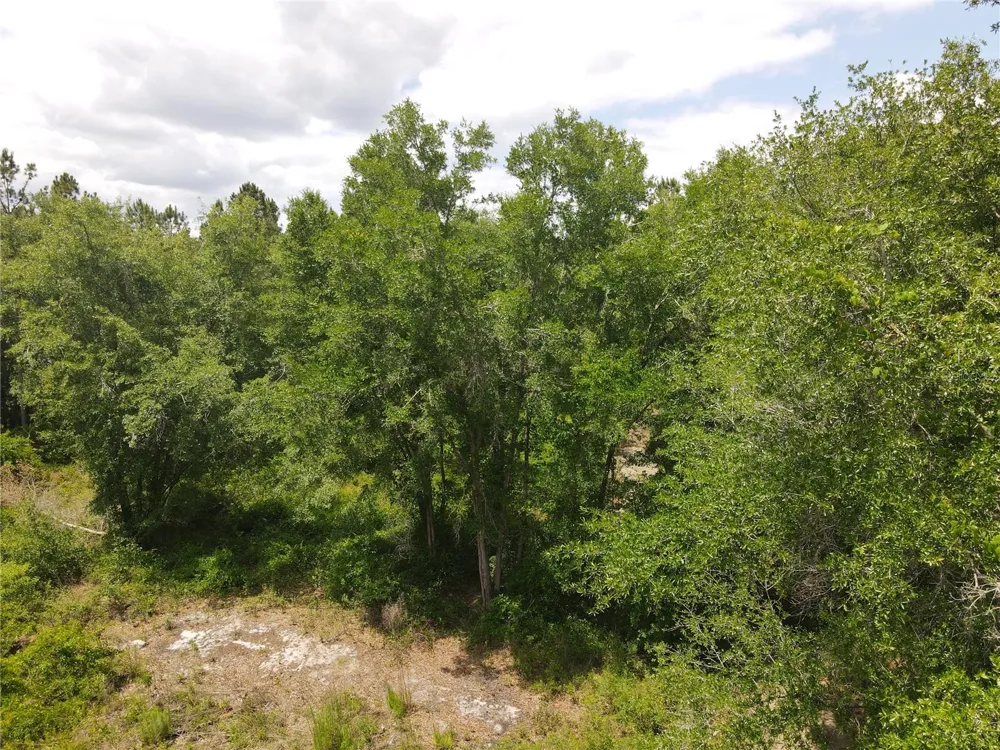 TBD STATE ROAD 121 #2 Alachua, FL 32615