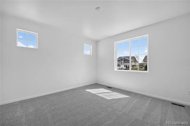 3340 Fervid Street Castle Rock, CO 80108