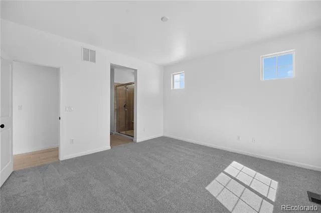 3340 Fervid Street Castle Rock, CO 80108
