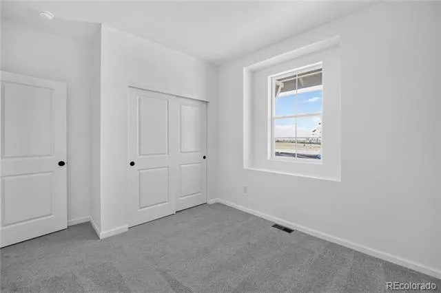 3340 Fervid Street Castle Rock, CO 80108