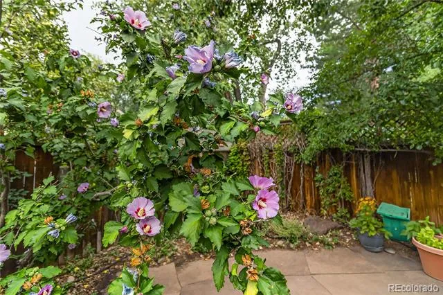 1120 Poplar Avenue Boulder, CO 80304