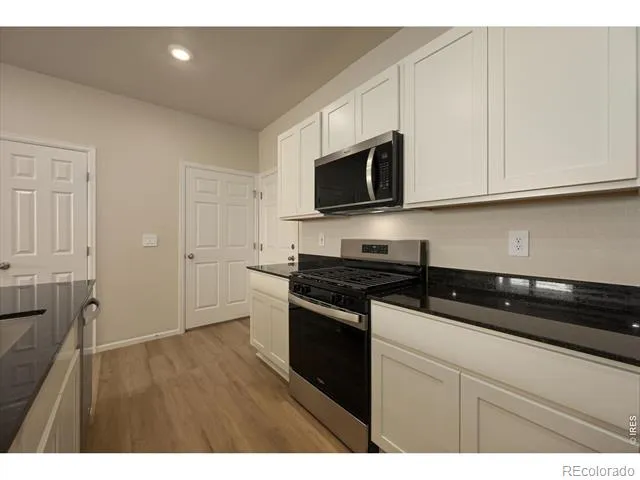 1594 Riverplace Drive #2 Windsor, CO 80550
