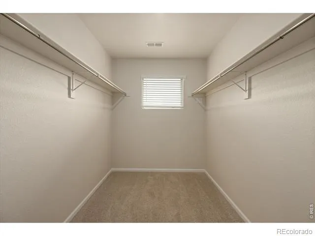1594 Riverplace Drive #2 Windsor, CO 80550
