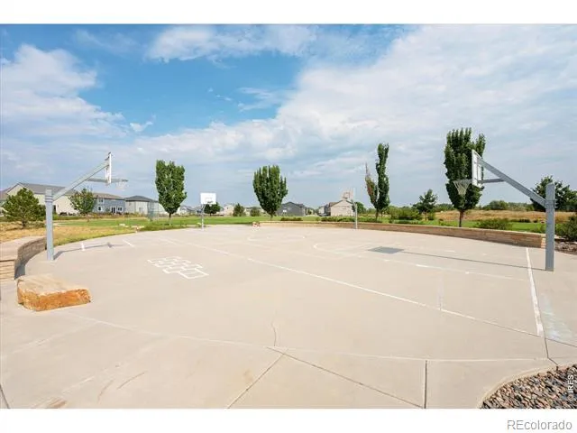 1594 Riverplace Drive #2 Windsor, CO 80550