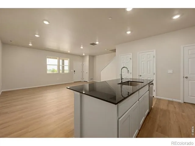 1594 Riverplace Drive #2 Windsor, CO 80550