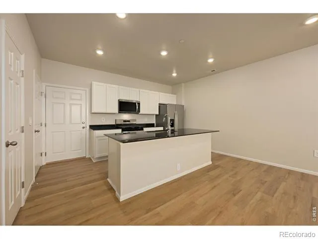 1594 Riverplace Drive #2 Windsor, CO 80550