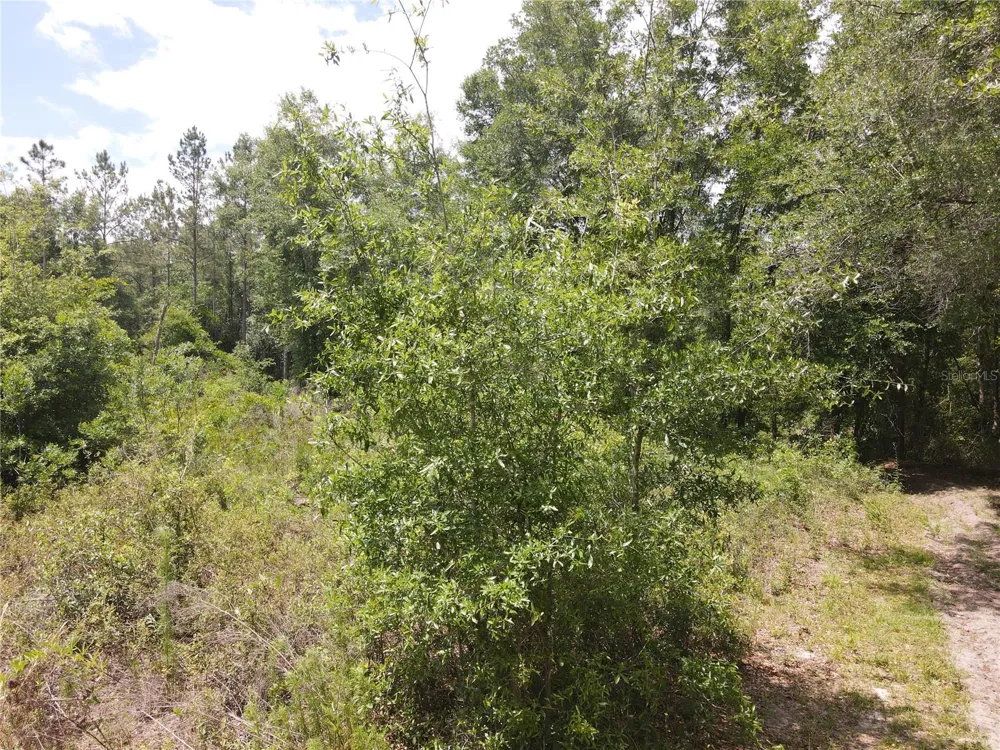 TBD STATE ROAD 121 #3 Alachua, FL 32615