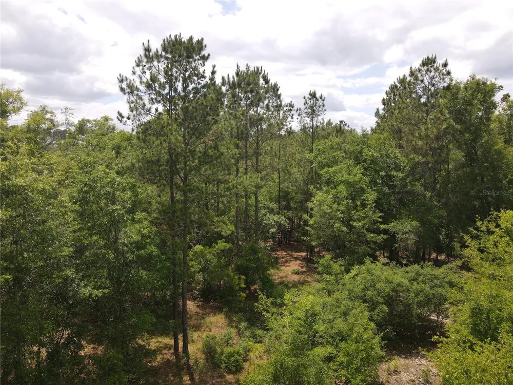 TBD STATE ROAD 121 #3 Alachua, FL 32615