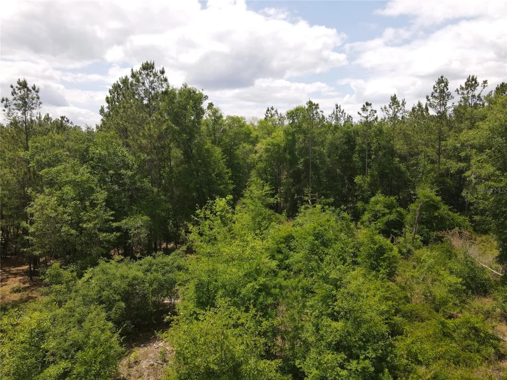 TBD STATE ROAD 121 #3 Alachua, FL 32615