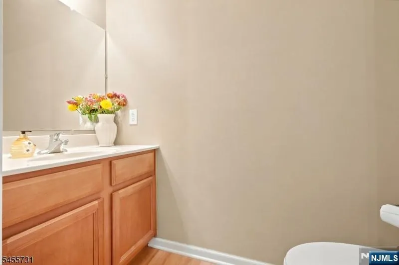 29 Riga Court Scotch Plains, NJ 07076