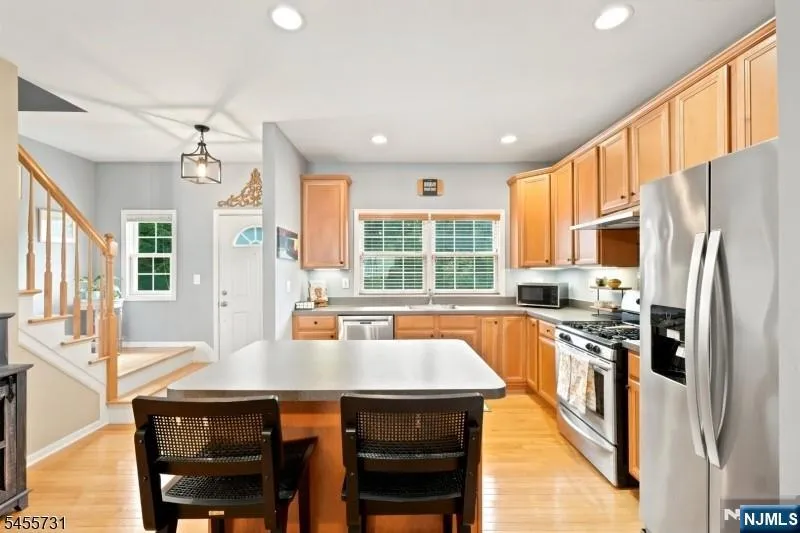 29 Riga Court Scotch Plains, NJ 07076