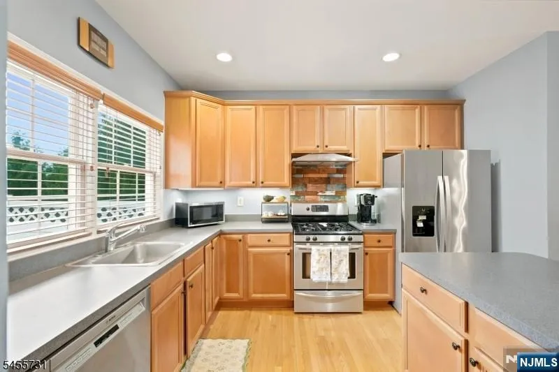 29 Riga Court Scotch Plains, NJ 07076