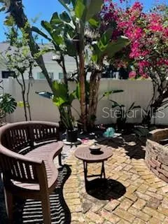 Address Not Shown Tampa, FL 33629