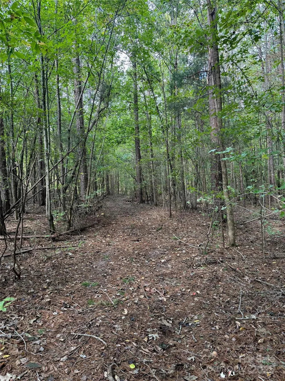 0 Huey Road #10,11 Waxhaw, NC 28173