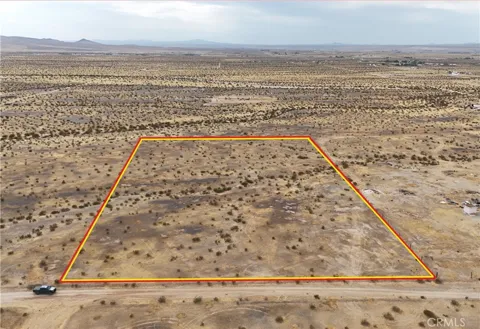 Palomino Road