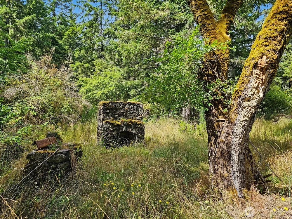 310 Washington Street Quilcene, WA 98376