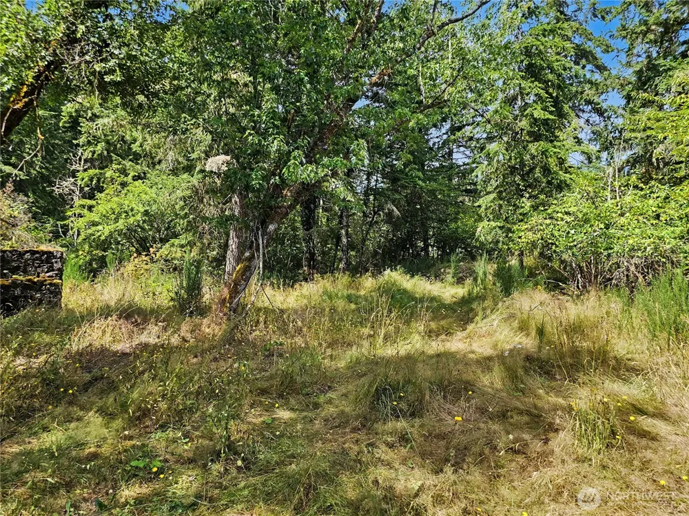 310 Washington Street Quilcene, WA 98376