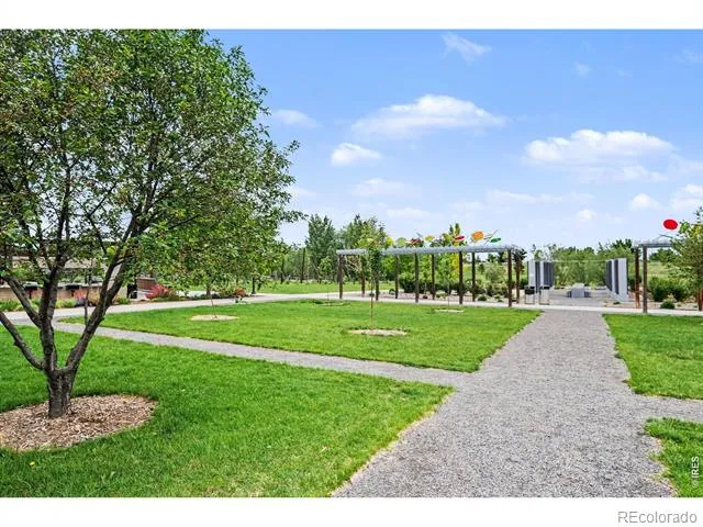 3502 Green Spring Drive Fort Collins, CO 80528