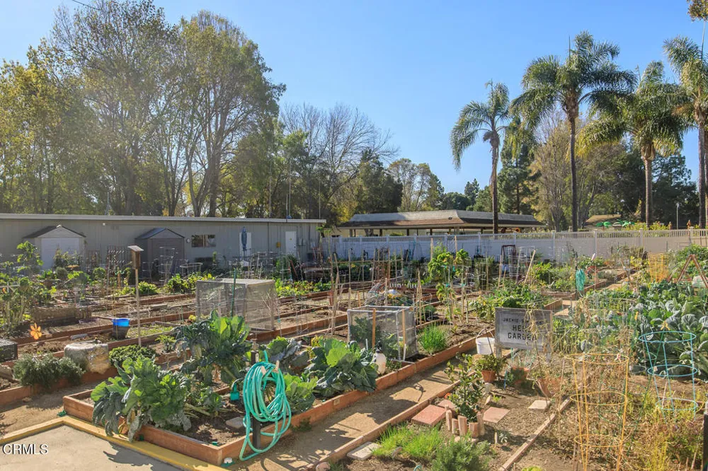 42033 Village 42 Camarillo, CA 93012