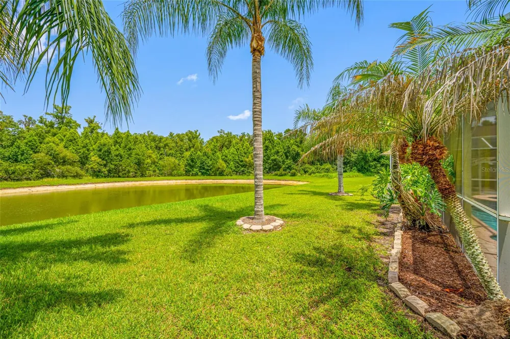 25147 GEDDY DRIVE Land O Lakes, FL 34639