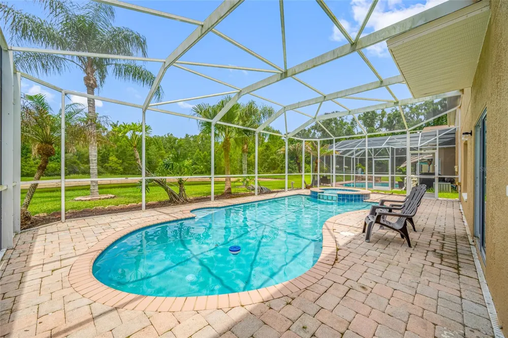 25147 GEDDY DRIVE Land O Lakes, FL 34639
