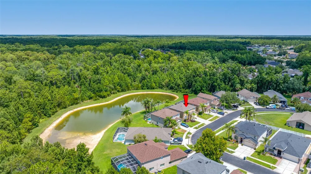 25147 GEDDY DRIVE Land O Lakes, FL 34639