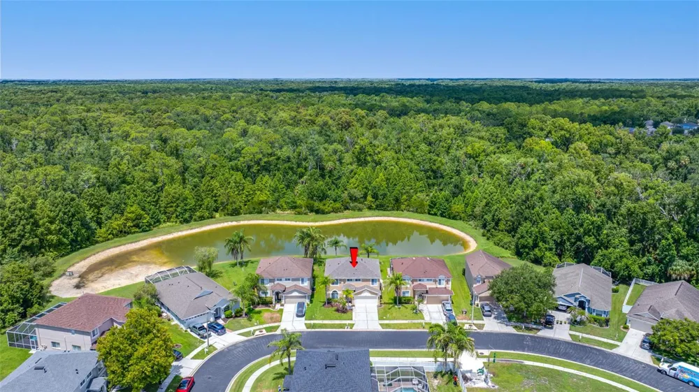 25147 GEDDY DRIVE Land O Lakes, FL 34639