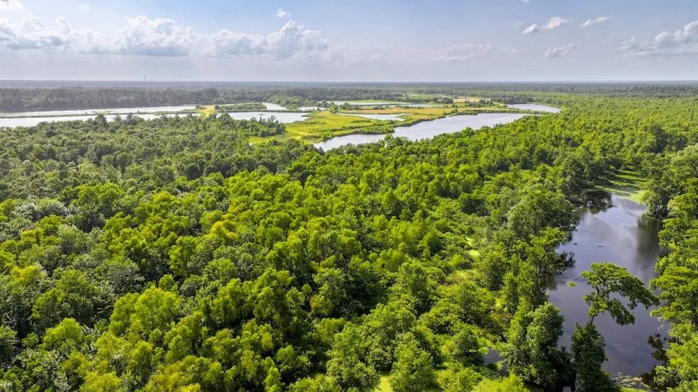 Fm 787 Cleveland, TX 77327