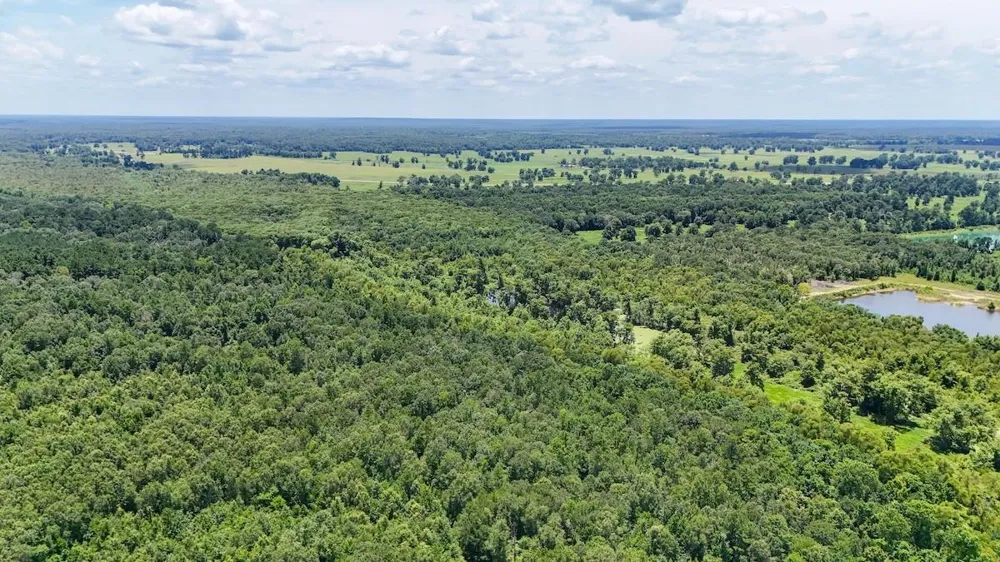 Fm 787 Cleveland, TX 77327