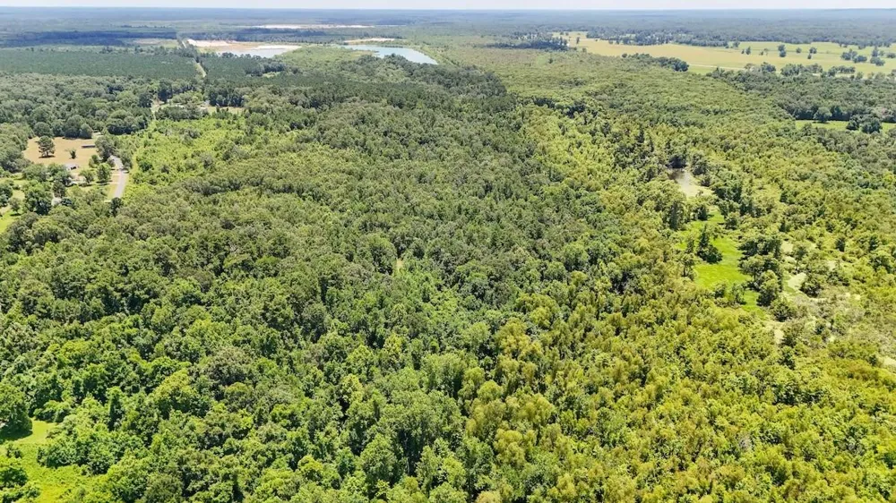 Fm 787 Cleveland, TX 77327