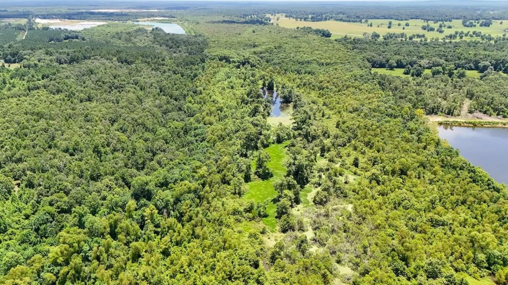 Fm 787 Cleveland, TX 77327