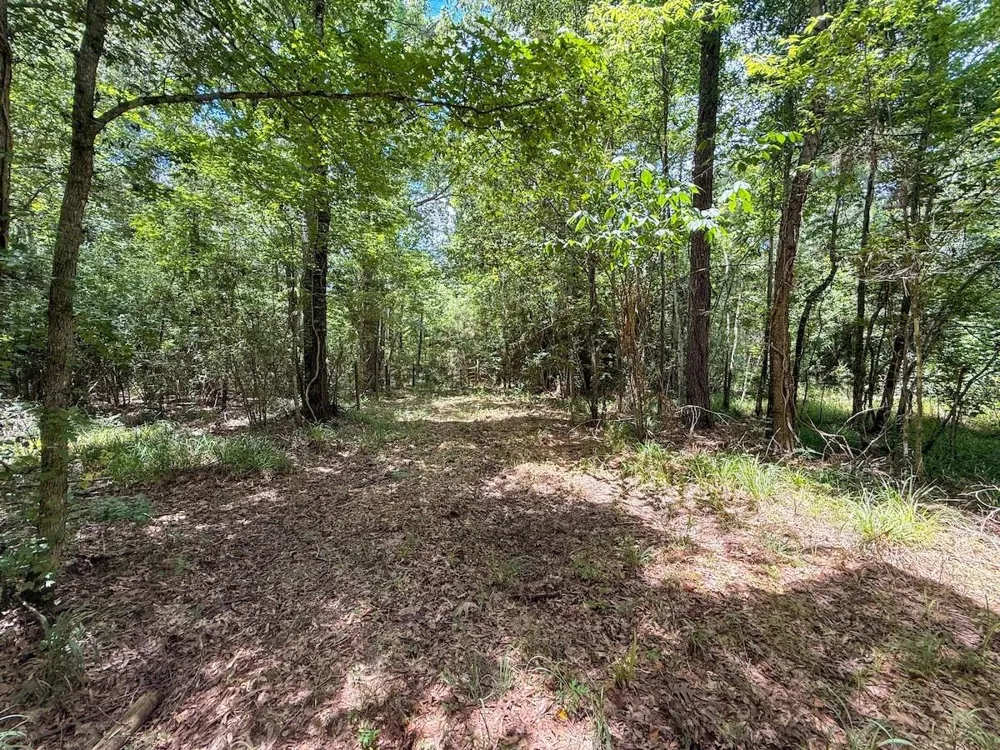 Fm 787 Cleveland, TX 77327