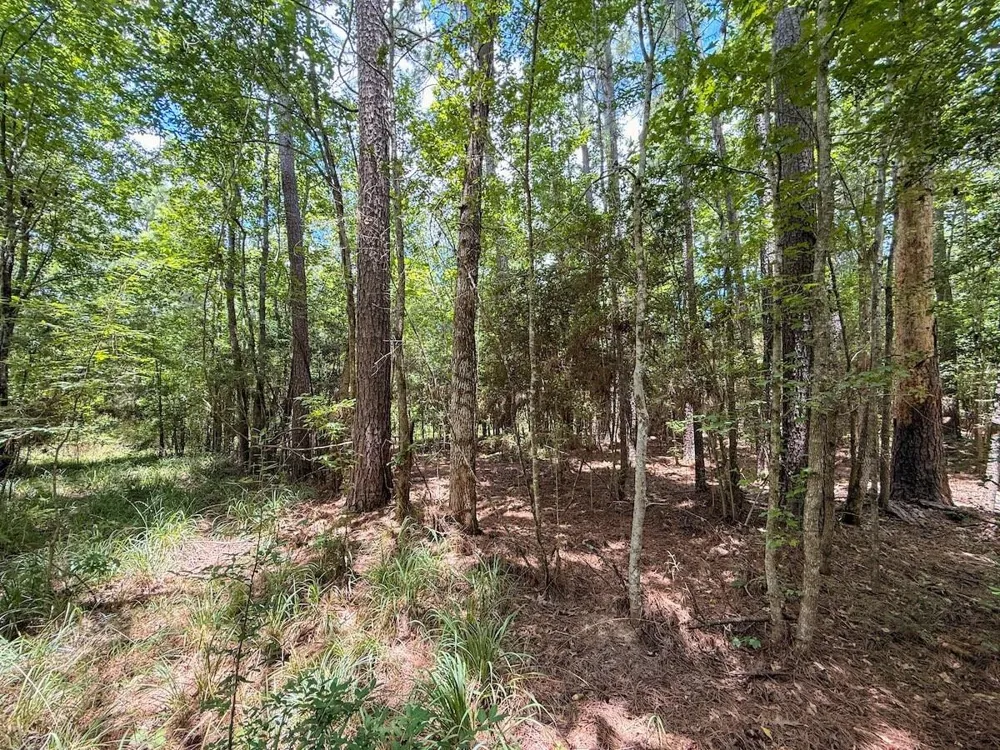 Fm 787 Cleveland, TX 77327