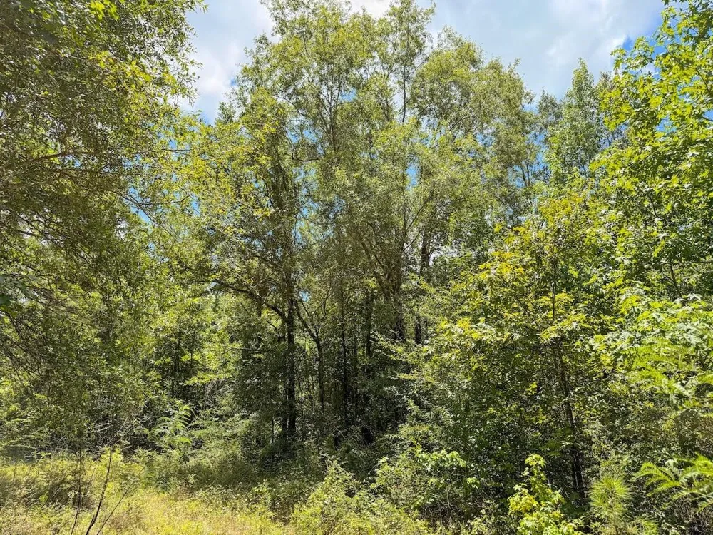 Fm 787 Cleveland, TX 77327