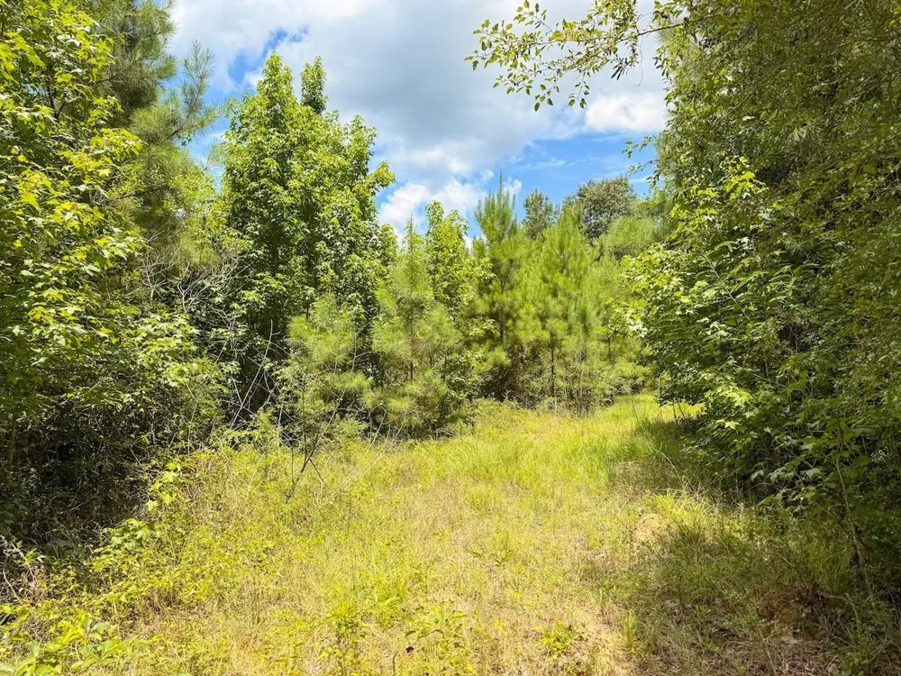 Fm 787 Cleveland, TX 77327