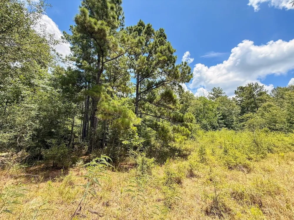 Fm 787 Cleveland, TX 77327