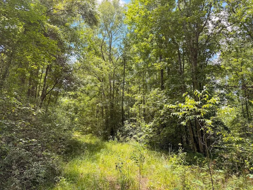Fm 787 Cleveland, TX 77327