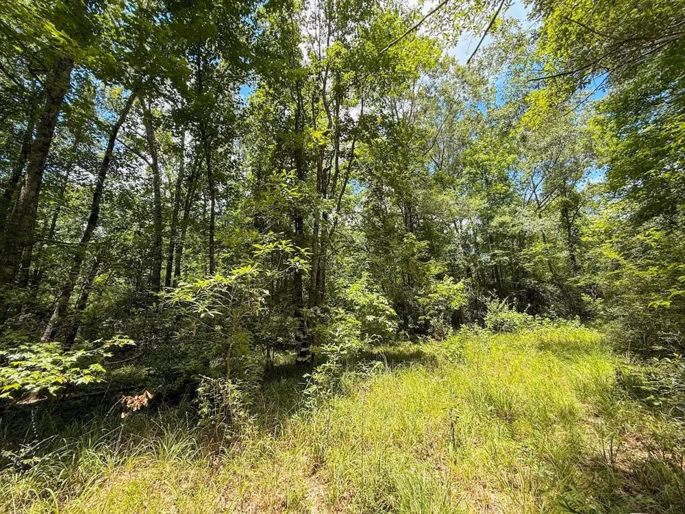 Fm 787 Cleveland, TX 77327