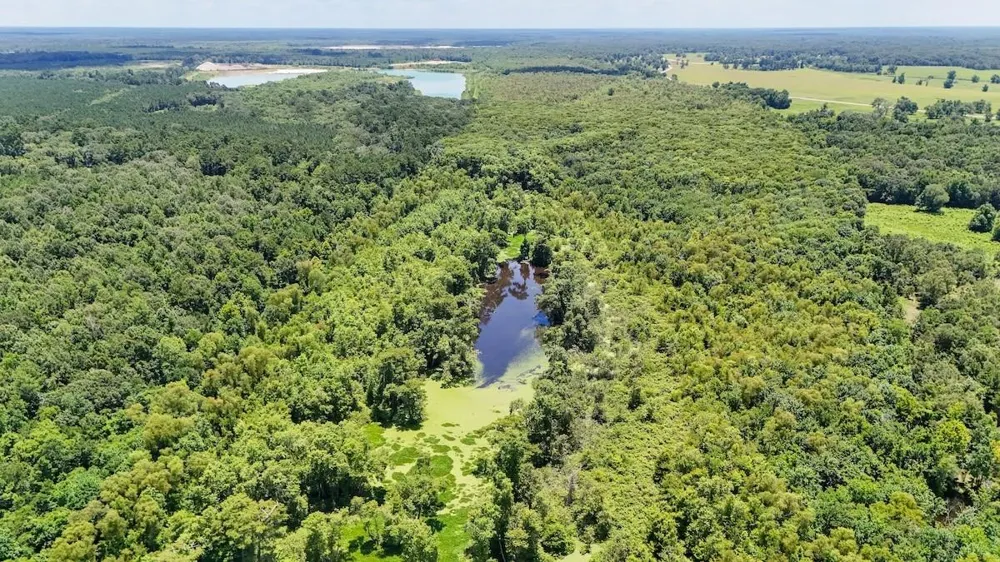 Fm 787 Cleveland, TX 77327
