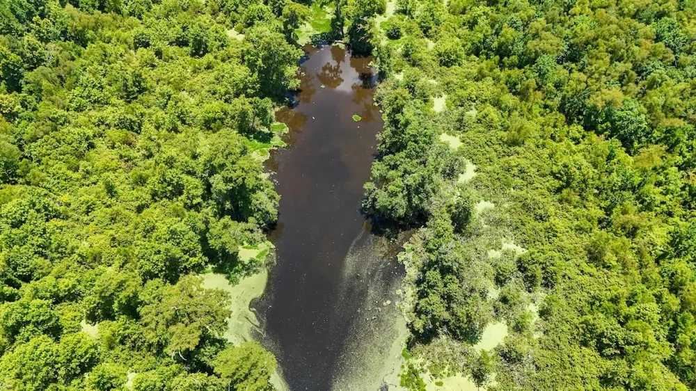 Fm 787 Cleveland, TX 77327