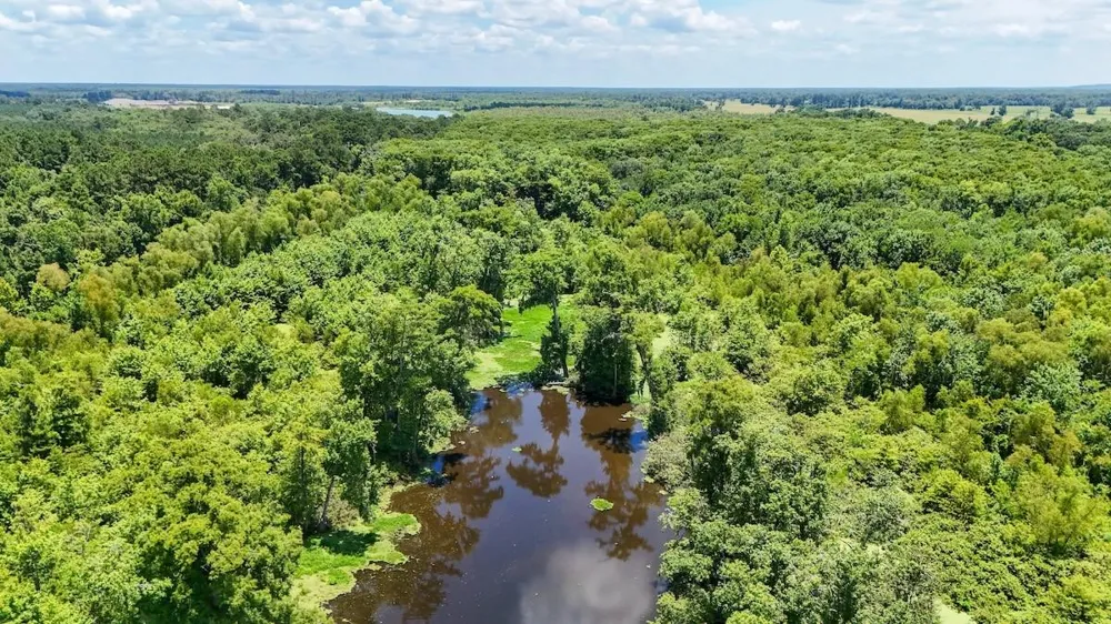 Fm 787 Cleveland, TX 77327