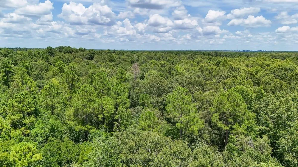 Fm 787 Cleveland, TX 77327